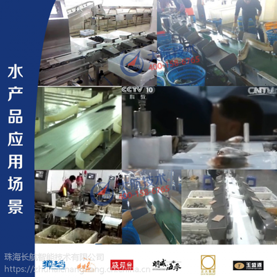 比人工快5倍 大闸蟹分选机_水产分拣 大航技术 龙头品牌