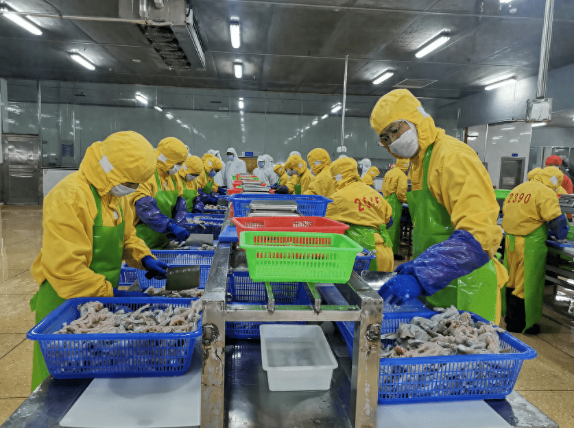 益阳水产出口贸易明显增长_食品_加工出口_牛蛙