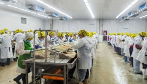合肥25年老牌小龙虾加工厂升级,预计产值将达5亿