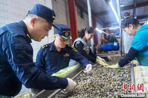 搭乘rcep东风 辽宁特色水产品争 鲜 出海