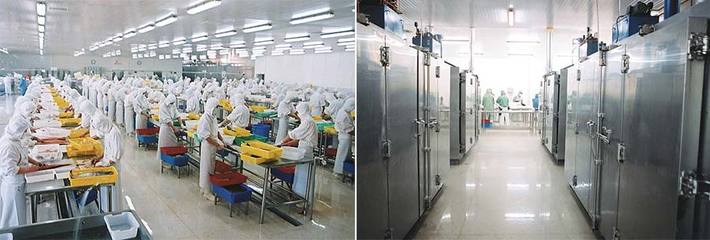青岛佳元水产