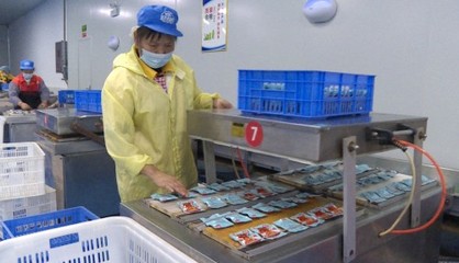 节后开工生产忙 力争新春“开门红”