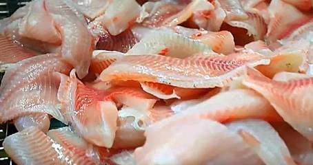 “水润万物,衍生至繁”,光明渔业厚植爱与尊重的光明文化,致力打造中国知名品牌淡水水产品企业