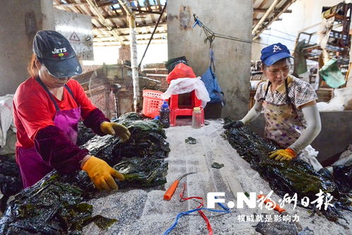 福清 以海为弦 老区村弹奏致富新乐章