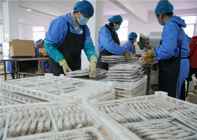 河北曹妃甸:生态混养促增收