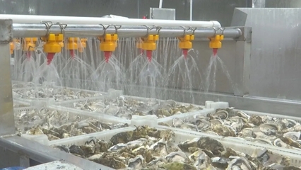 多部门联合解决用地、用水、研发等问题,助力水产生产加工企业出海
