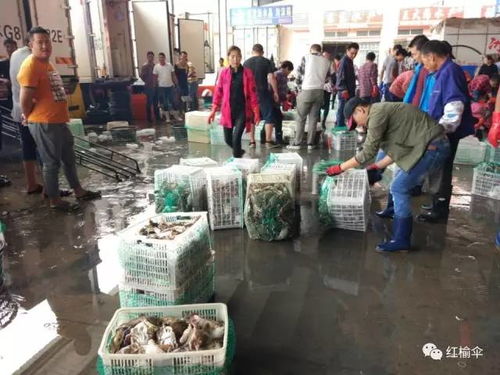 开海了 想买最新鲜 地道的海鲜,老连云港人都来这里