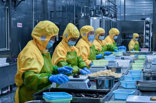 新华网评 用真诚消解人们对预制菜的疑虑