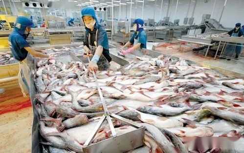 今年前4月越南水产品出口额同比下降10