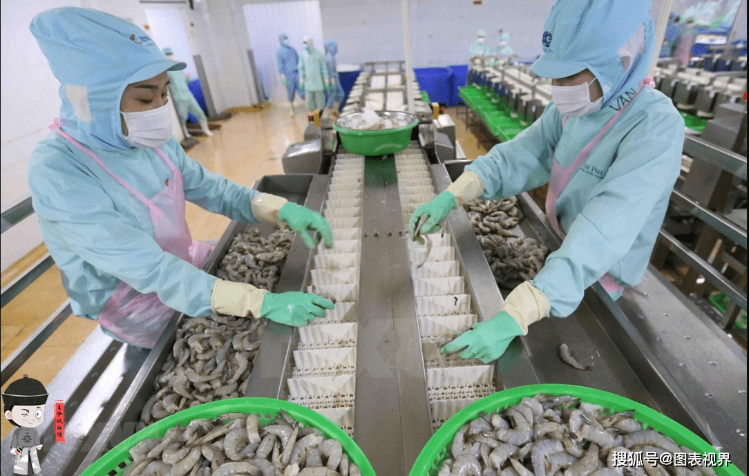 8个月,越南出口水产品261.5亿美元!对美出口63亿,对中国出口呢?
