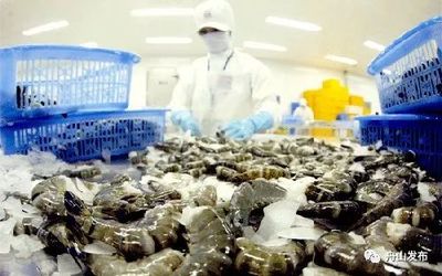 进口海鲜来袭!浙江国际农产品贸易中心建设又向前迈进一步