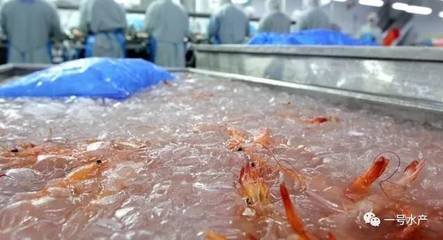 水产市场暗流涌动 进口虾走私量激增的隐忧与应对