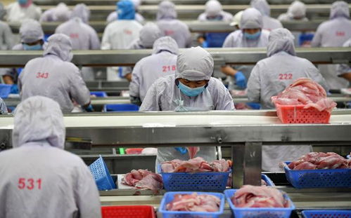 海南水产品加工出口企业复工复产，水产制品销售迎来复苏