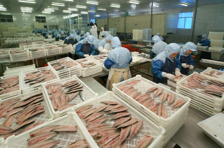 辽宁坤诚国际经济合作 水产品加工的综合发展之路